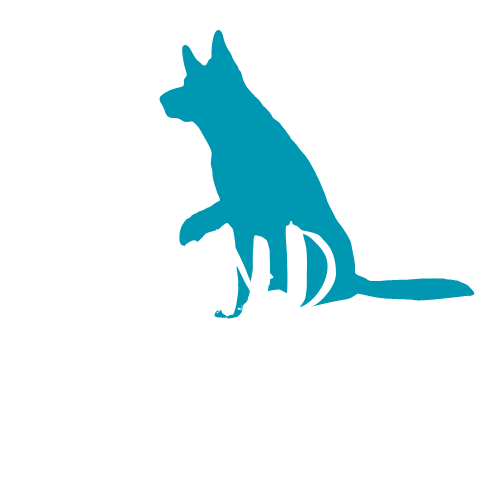 Mobile Hundeschule