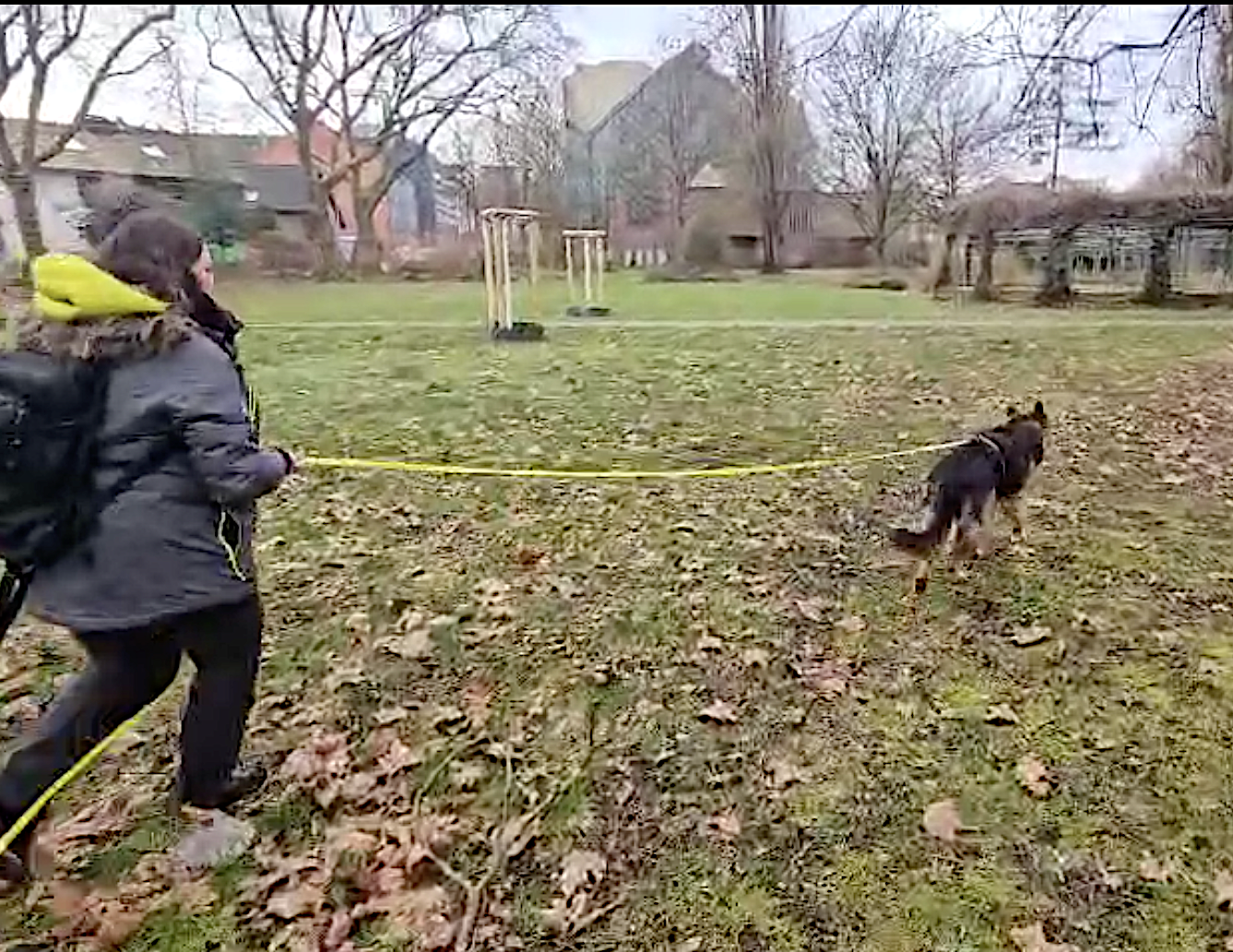 Mantrailing Mantrailing